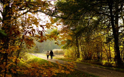 Nos séjours « Douceur d’Automne »