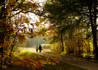 Nos séjours « Douceur d’Automne »